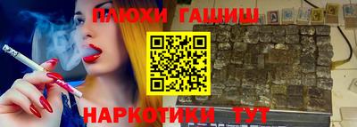 гашик Аргун