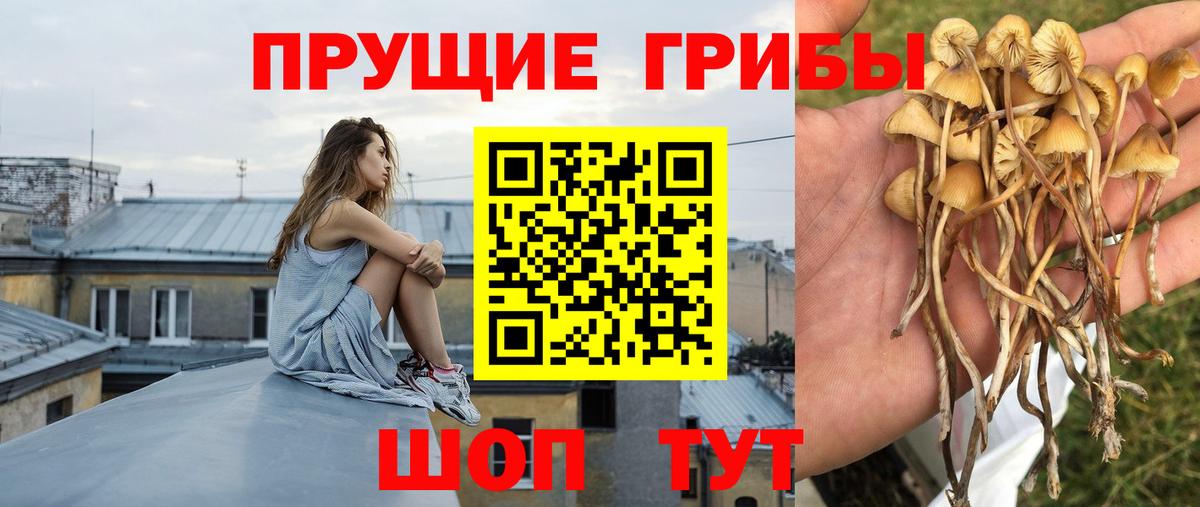 Галлюциногенные грибы GOLDEN TEACHER Волжск