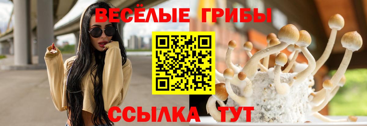 Волжск  Псилоцибиновые грибы MAGIC MUSHROOMS  Вход с VPN 